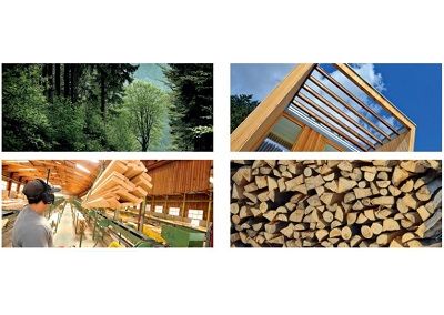 The forest-wood industry in Grand Est