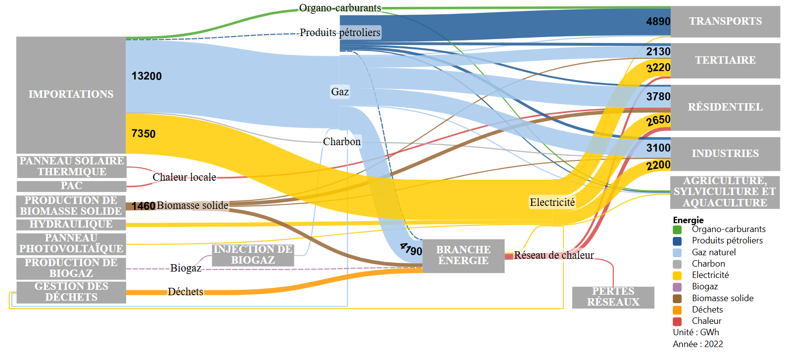 Vue d'ensemble du métabolisme énergétique lyonnais