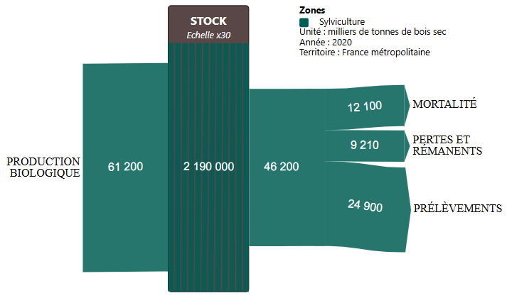 Sylviculture