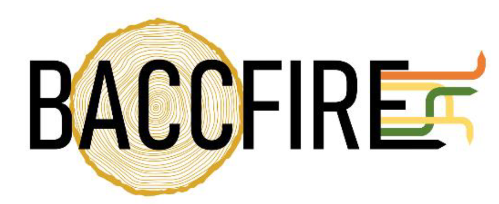 Logo du projet