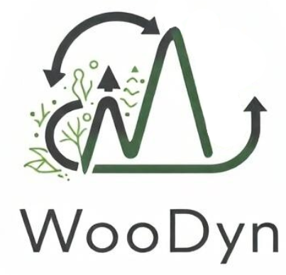 filiere-bois-woodyn