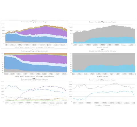 Structure et évolution du système énergétique
