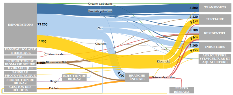 Vue d'ensemble du métabolisme énergétique lyonnais
