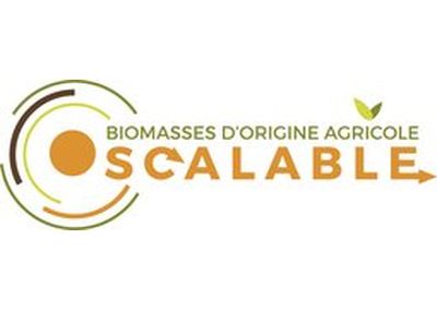 Scalable – Projet de recherche sur les flux des biomasses d’origine agricole