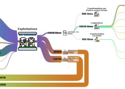 Cartographie des flux de la filière du Beaufort