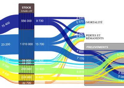 Cartographie des flux de la filière forêt-bois: Projet BACCFIRE (2023-25)