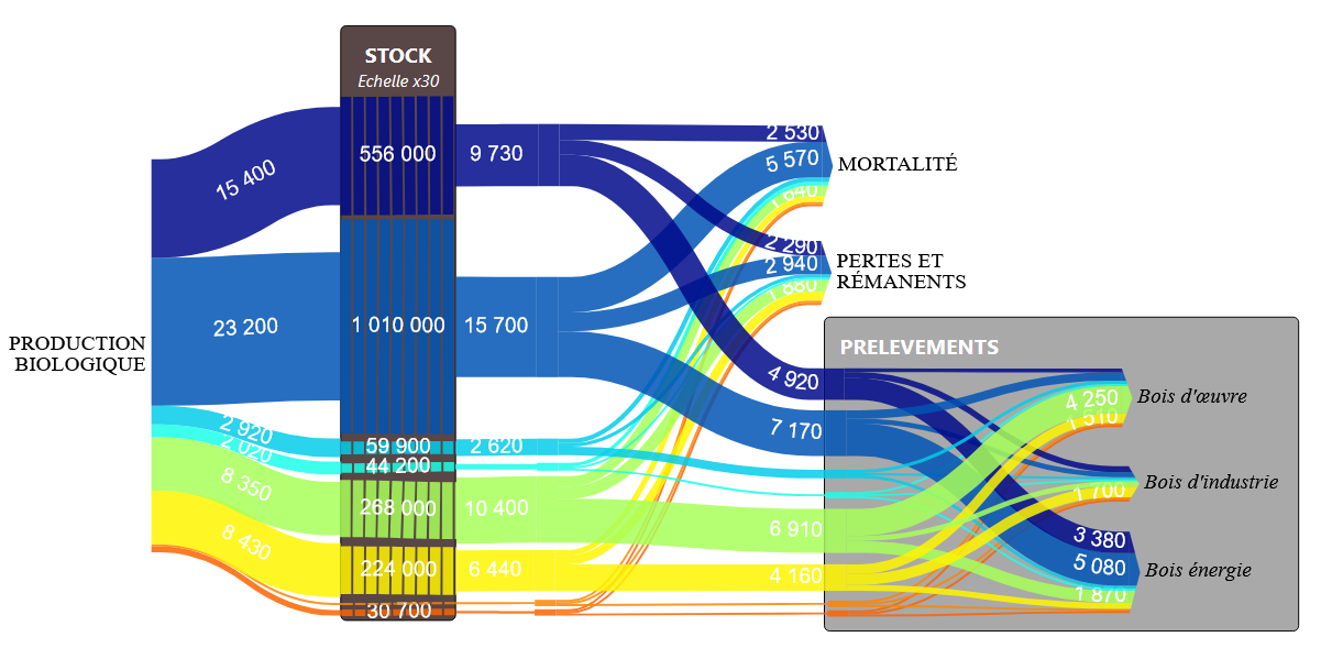 Cartographie des flux de la filière forêt-bois: Projet BACCFIRE (2023-25)